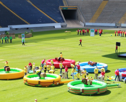 Unsere 6 Rodeo Bullen in der Commerzarena im Einsatz