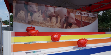 Sparschwein Rennen mieten