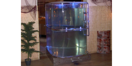 Lebensgroßes XXL Aquarium zum Mieten