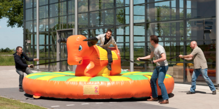 Pull Riding – Bild 2