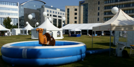 Kamel Rodeo mieten ist wie Bullriding nur auf einem Kamel