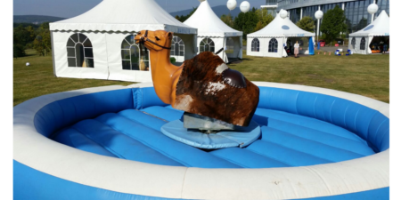 Kamelrodeo mieten