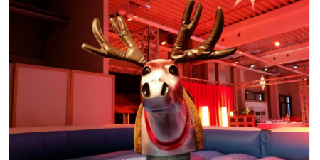 Rentier Rodeo – Bild 2