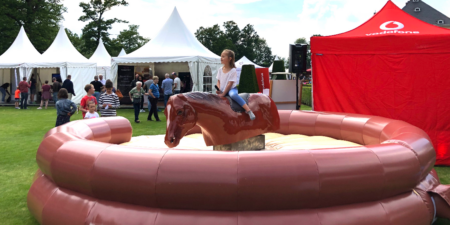 Pferde Rodeo mieten