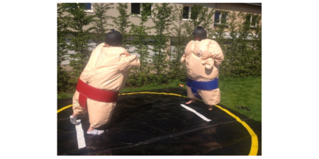 Sumo Ringen Teamspiel
