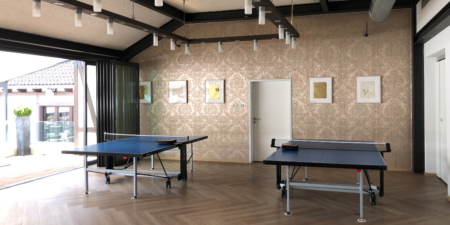 Tisch Tennis Platten mieten