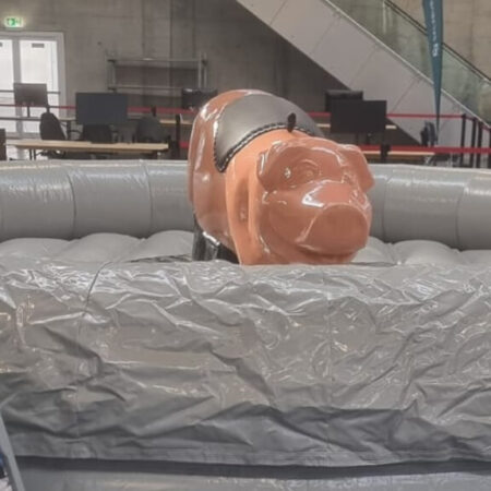 schweine-rodeo-eventmodul-in-einer-halle (1) Schweine Rodeo in einer Halle